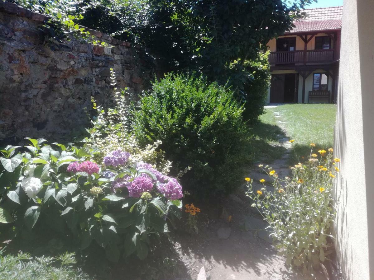 Na Letnim Byte Kouřim Dış mekan fotoğraf